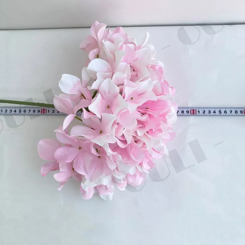 Store hortensia fuskeblomster