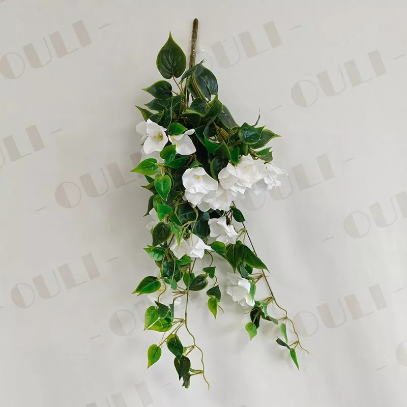 Falske bougainvillea hengende blomster