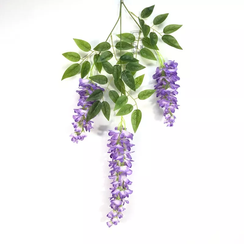 Falske wisteria -grener