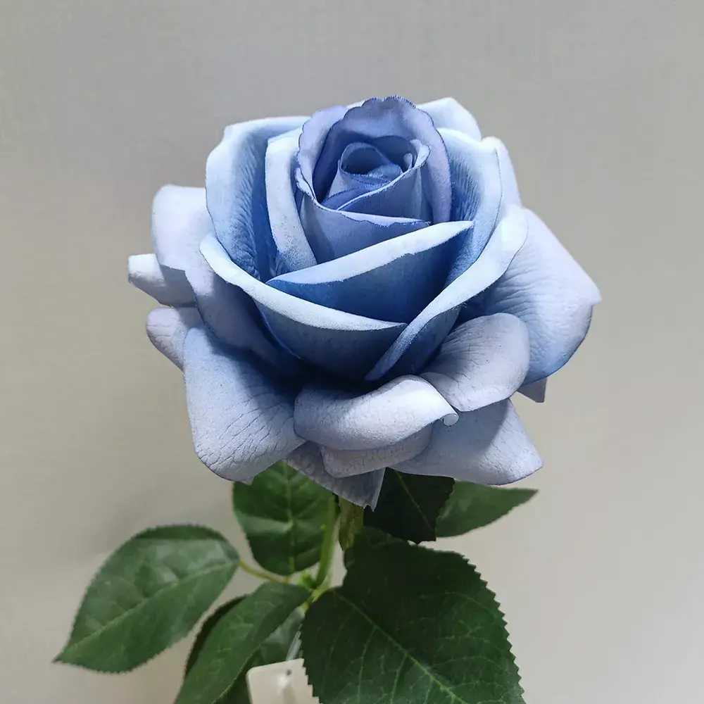 Latex ekte berøring av kunstige roser blomst