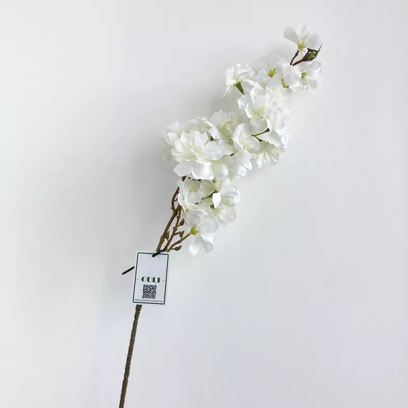 Ekte berøring av kirsebærblomstergrener