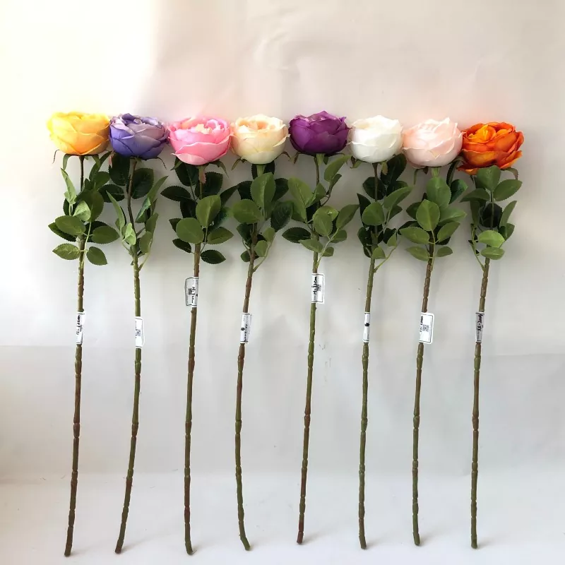 Hvite falske pionerblomster