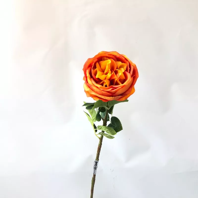 Hvite falske pionerblomster
